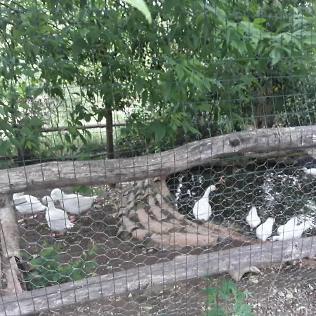 Il Sentiero Farm stay
