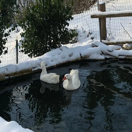 Çiftlik konaklama Il Sentiero Acquapendente