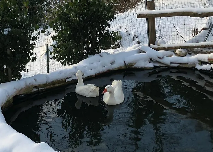 Lantgård Il Sentiero Acquapendente